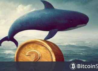 Binance’e Yüksek Miktarlı Kripto Para Transferi Yapan Dev Piyasa Yapıcı Şirket news-05082024-032201