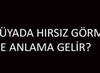 Rüyada Eve Hırsızın Girmesi: Anlamı ve Yorumu Nedir? news-05082024-033139