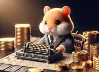 Hamster Kombat Günlük Şifre ve Kombo Kartları: 5 Ağustos 2024 news-05082024-035814