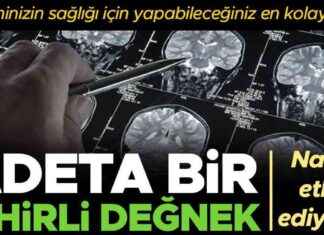 Sağlıklı Beyin İçin Yeşil Gıdaların Önemi ve Etkileri news-07082024-060715