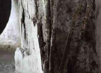 Oto Sanayi Sitesindeki Riskli Yapılar Endişe Veriyor – Haber Güncel news-08082024-005212