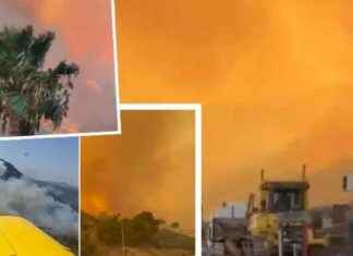 Aydın ve Milas Orman Yangını: Gece Görüşlü Helikopter Sevk Edildi! news-08082024-005309