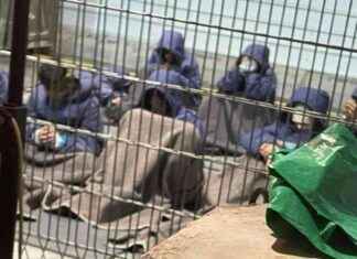 İsrail Askeri Skandalı: İstismarcı Askerin Savunması – Detaylı İnceleme news-09082024-184108