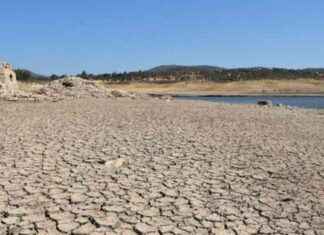 Bodrum’da devam eden ekstrem kuraklık durumu – Güncel Son Dakika Haberleri news-10082024-024642