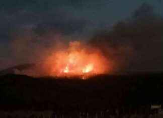 Orman Yangınları Türkiye’de Güncel Durum! | Son Dakika Haberleri news-12082024-035024