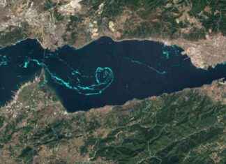 Marmara Denizi’nin Durumu: Kritik Eşik Aşıldı! | Son Dakika Haberleri news-12082024-133441