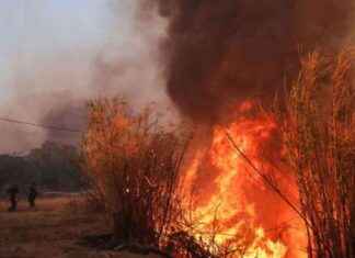 Yunanistan’da Varnava Bölgesi’ndeki Yangın Yılın En Büyük Yangını Olarak Değerlendirildi | Dış Haberler news-13082024-200642