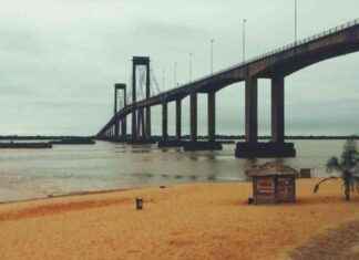 Dünyanın En Garip 10 Fobi – Köprü Fobisinden Kelebeklere! news-16082024-082736