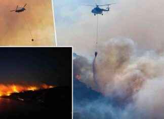 İzmir Orman Yangını: Evlere Sıçrayan Alevler Şehri Dumanla Kapladı! news-16082024-203440