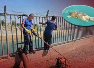 Şanlıurfa’da Ceset İhbarı: Gerçek Ortaya Çıktı! – Son Dakika Haberleri news-20082024-132908