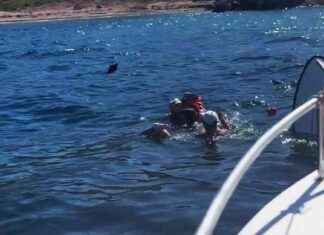 Gömeç’te Batan Tekneden Kurtarılan Kazazedeler – Son Dakika Haberleri news-23082024-105139