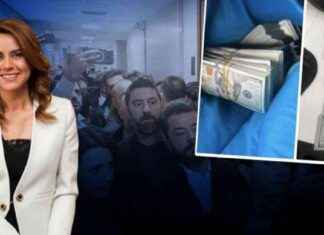 Seçil Erzan yurt dışına kaçırma davası ve iddiası: Saf ve temiz sevgi suistimali news-01102024-013304