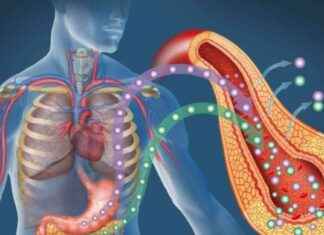 Diyet Yaparken Vücudunuz Nasıl Tepki Verir? Vücudun Diyet Tepkileri Açıklaması news-10092024-011108