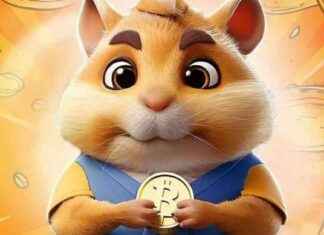 Hamster Kombat Günlük Şifreler ve Kombo Kartları – 9-10 Eylül 2024 news-10092024-091308