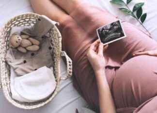 Hamilelikte Trimester Evreleri ve Değişimler – Trimester Nedir? news-10092024-210418