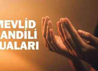 MEVLİD KANDİLİ DUALARI: Hangi dualar okunmalı? Kandil gecesi için dua önerileri! – Güncel Haberler news-14092024-032430