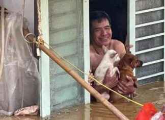 Vietnam’da Yagi Tayfunu’nda Ölenlerin Sayısı 262’ye Yükseldi news-14092024-185524