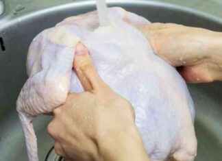 Tavuk Etinin Temizlenmesi ve Kesilmesi İle İlgili Önemli Bilgiler news-18092024-120732