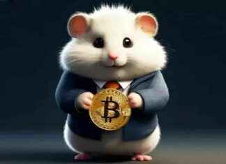 Hamster Kombat 2. Sezon Sorunları ve Para Çekimi Rehberi news-20092024-224616