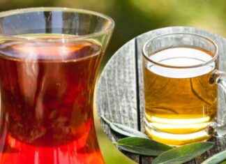 Siyah Çay mı Yeşil Çay mı? Hangisi Daha Sağlıklı? – Hangi Çay Daha Faydalıdır? news-22092024-090012