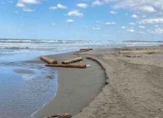 Karadeniz’deki Afetler: Isınan Deniz Suyu Sel Riski Oluşturuyor | Son Dakika Haberleri news-28092024-153156