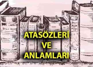 Atasözleri ve Anlamları: En Çok Bilinen Sözlük – Kısa Uzun Örnekler – Eğitim Haberleri news-22102024-152602