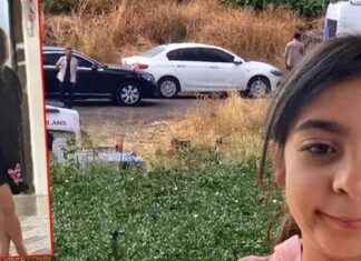 Narin Güran Cinayeti Davası: Gerekçeli Kararlar Hakkında Son Dakika Haberleri narin-gran-cinayeti-davas-gerekeli-kararlar-hakknda-son-dakika-haberleri