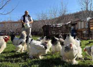 Bahçe Hobileri: Tutkuya Dönüşen Hobi Etkinlikleri ve İpuçları bahe-hobileri-tutkuya-dnen-hobi-etkinlikleri-ve-ipular