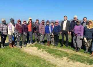 Manisa’da kadınlar bağ budama işine el attı! manisada-kadnlar-ba-budama-iine-el-att