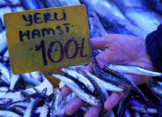 Yılın İlk Günü İndirimli Fiyatlarla Kilo Kilo Satış Başladı yln-ilk-gn-indirimli-fiyatlarla-kilo-kilo-sat-balad