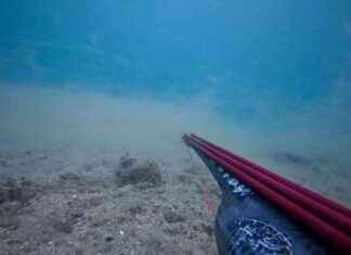 Çanakkale Boğazı’nda Deniz Dibinde Müsilaj Yoğunluğu – Güncel Haber anakkale-boaznda-deniz-dibinde-msilaj-younluu-gncel-haber