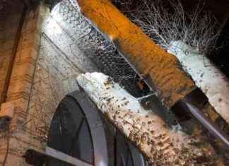 İshakpaşa Camii’ne Devrilen 550 Yıllık Çınar Olayı ishakpaa-camiine-devrilen-550-yllk-nar-olay