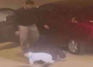 Kadına ve köpeğine saldıran saldırganın dehşet anları kamerada! kadna-ve-kpeine-saldran-saldrgann-dehet-anlar-kamerada