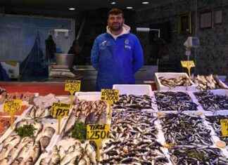 Trabzon Balık Fiyatları: Hava Koşulları Etkisi ve Değişim trabzon-balk-fiyatlar-hava-koullar-etkisi-ve-deiim