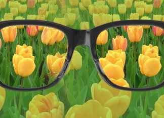 Renk Körlüğü: Sebepleri, Çeşitleri ve Günlük Hayattaki Etkileri renk körlüğü, renk körlüğü testi, renk körlüğü gözlüğü, renk körlüğü nedir, renk körlüğü lensi, renk körlüğü tedavisi, renk körlüğü çeşitleri