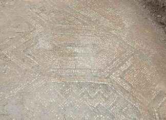 Diyarbakır Mozaik Buluntusu İncelemeye Alındı diyarbakr-mozaik-buluntusu-incelemeye-alnd