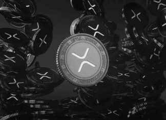 XRP yatırımcıları için SEC davası hakkında güncel bilgiler xrp-yatrmclar-iin-sec-davas-hakknda-gncel-bilgiler