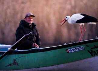 Yaren Leylek 14. Yılda Tekrar Göç Etti! yaren-leylek-14-ylda-tekrar-g-etti