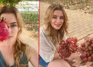 Üniversite Öğrencisinden İşinin Patronu: Serada Ürettiklerini Satıyor niversite-rencisinden-iinin-patronu-serada-rettiklerini-satyor