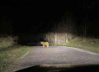 Bitlis İlçelerinde Kış Uyku Uyarısı: Uzmanlar Uyandırdı! bitlis-ilelerinde-k-uyku-uyars-uzmanlar-uyandrd