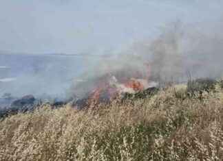 Bodrum’da 5 Hektarlık Alan Yangınla Yok Oldu bodrumda-5-hektarlk-alan-yangnla-yok-oldu