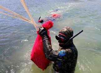 Denizden 43 Kilo Ağırlığında Şaşırtıcı Nesne Çıktı denizden-43-kilo-arlnda-artc-nesne-kt