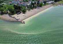 İznik Gölü’nde Endişe Veren Durum: Doğa ve Tarih Tehlikede iznik-glnde-endie-veren-durum-doa-ve-tarih-tehlikede