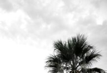 İzmir Bodrum Arası Kaç Km? Keşfedilecek Güzellikler Sizi Bekliyor!