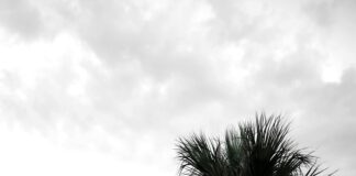 İzmir Bodrum Arası Kaç Km? Keşfedilecek Güzellikler Sizi Bekliyor!