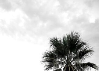 İzmir Bodrum Arası Kaç Km? Keşfedilecek Güzellikler Sizi Bekliyor!