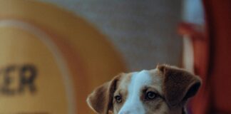 İzmir Fethiye Arası Kaç Km? Keşfedilmesi Gereken Rotalar