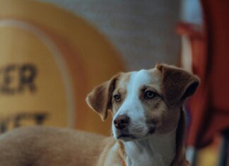 İzmir Fethiye Arası Kaç Km? Keşfedilmesi Gereken Rotalar