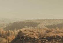 Ankara Kayseri Arası Kaç Km? Seyahat İçin İpuçları ve Bilgiler