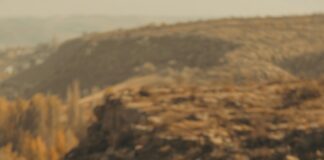 Kayseri Konya Arası Kaç Km? Yolculuğunuz İçin Bilmeniz Gerekenler